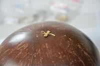 Cargar imagen en el visor de la galería, Anhänger 925 Sterling Silber vergoldet Libelle gold - chic - net.de
