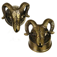 Load image into Gallery viewer, Brass Messing Plug Tunnel 3D Ramskull Widderkopf Schädel Skelett golden - chicnit.com
