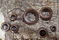 Load image into Gallery viewer, Holz Flesh Tunnel Kokosholz Inlay Tamarindenholz braun - chicnit.com
