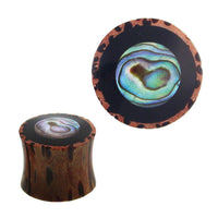 Load image into Gallery viewer, Holz Plug Tunnel Kokosholz Resin Paua Abalone Kreise schillernd Tribal Expander - chicnit.com
