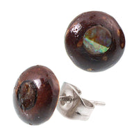 Load image into Gallery viewer, Ohrstecker Unisex 8 mm Kokosnuss Holz Edelstahl Muschel Stein Inlay rund Stern - chicnit.com
