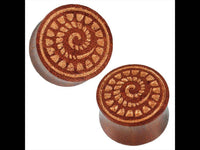 Load image into Gallery viewer, Organic Holz Plug braun natur Lasergravur Fossilien Schnecke Tribal Expander - chicnit.com
