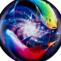 Load image into Gallery viewer, Schraub Plug Acryl Weltall Strudel bunte Koi Karpfen Piercing Ohrschmuck - chicnit.com
