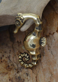 Load image into Gallery viewer, Ohrgewicht 4mm Hook Dehner Messing Seepferdchen 40mm - chic - net.de
