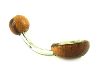 Load image into Gallery viewer, Organic Perlmutt Tamarind Holz braun weiß Bauchnabelpiercing Scheibe Bananenpiercing Edelstahl - chic - net.de
